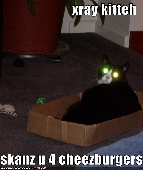 Cat with ridiculously glowing eyes.